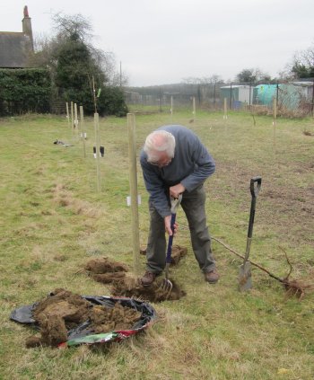 Roger shows the planters how to prepare a hole